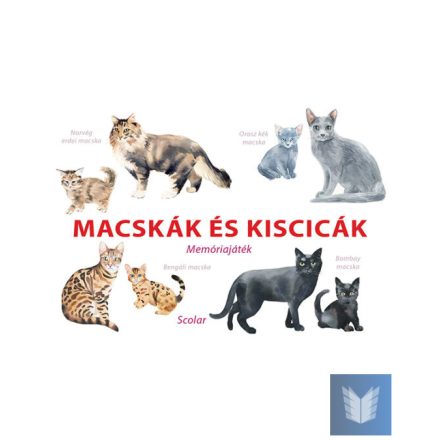 Macskák és kiscicák – Memóriajáték