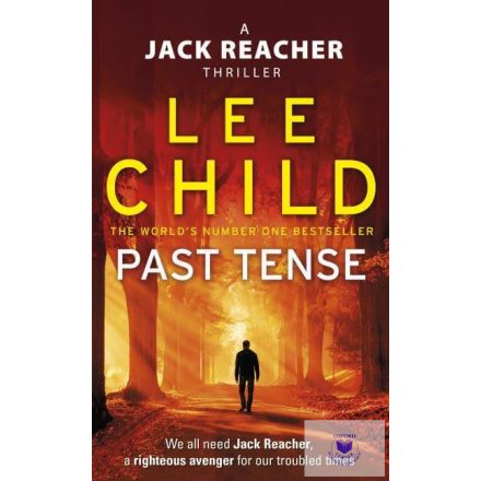 Past Tense (Paperback)