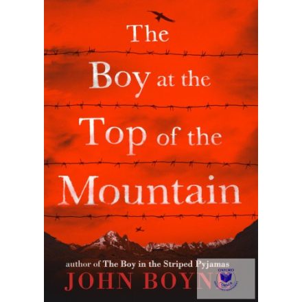 The Boy At The Top Of The Mountain