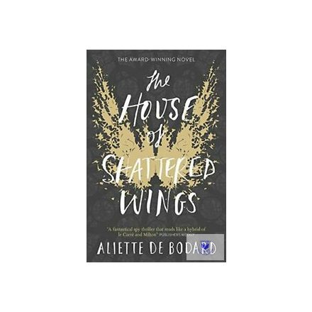 The House Of Shattered Wings