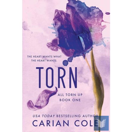 Torn (All Torn Up Series, Book 1)