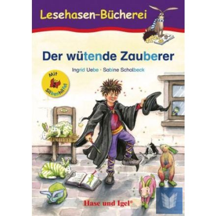 Der wütende Zauberer Lektüre für Kinder mit Silbenhilfe