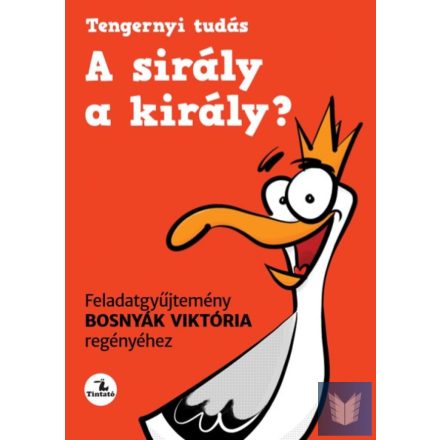 A sirály a király? Feladatgyűjtemény Bosnyák Viktória regényéhez