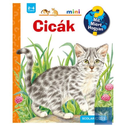 Cicák