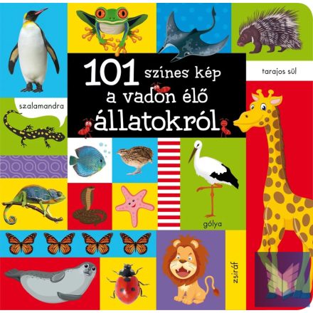 101 színes kép a vadon élő állatokról