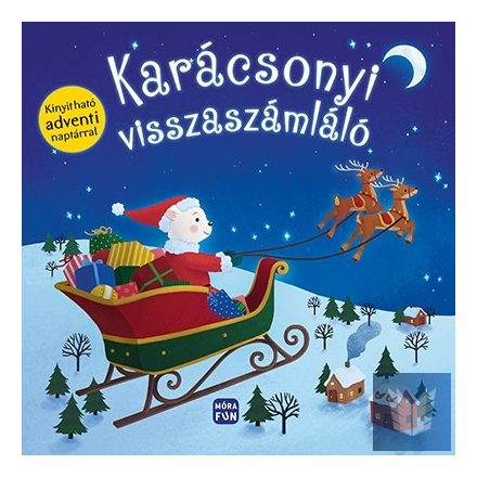 Karácsonyi visszaszámláló - Kinyitható adventi naptárral!