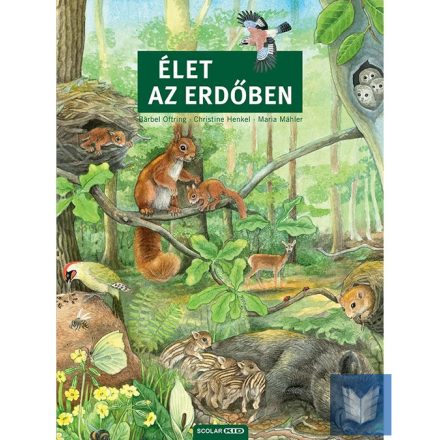 Élet az erdőben