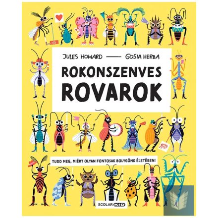 Rokonszenves rovarok