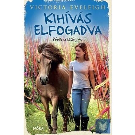 Kihívás elfogadva - Pónibarátság 4.