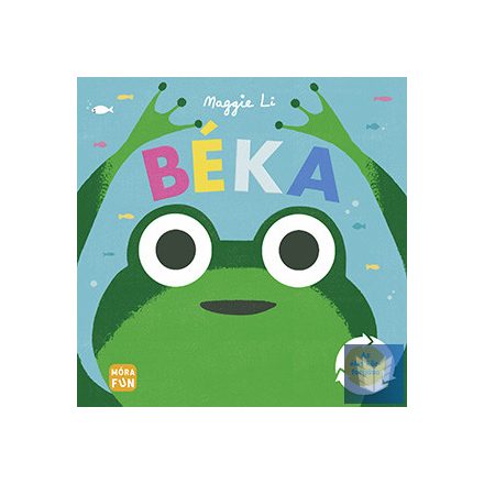 Béka - Az élet körforgása