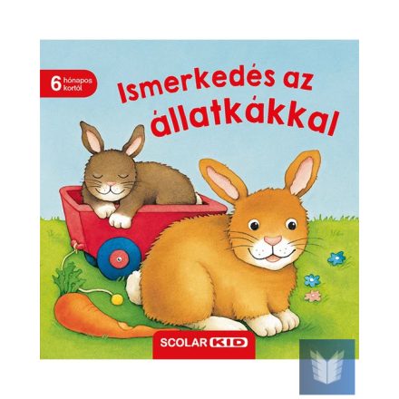 Ismerkedés az állatkákkal